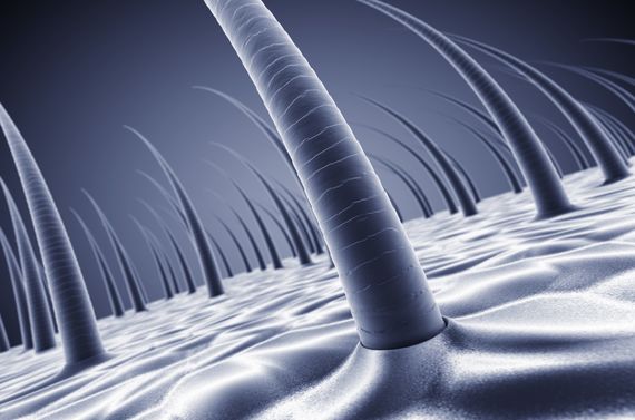 高品質なトリートメントの施術をお楽しみください