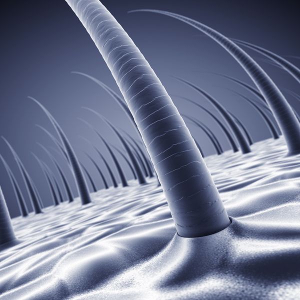 高品質なトリートメントの施術をお楽しみください